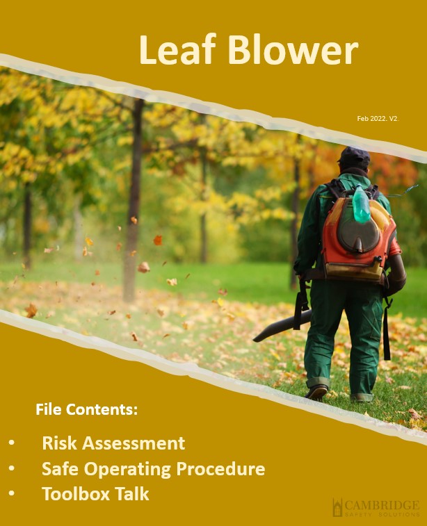 Leaf Blower Risk Assessment